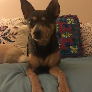 Meet your Posher, Jessica